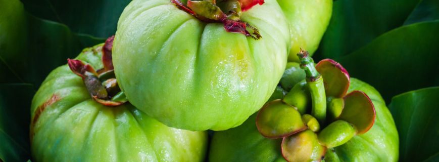 Health-GettyImages-GarciniaCambogia-e724d1d97cc747ef93a02b768cdd0f71