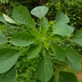 accin_20120125_081304