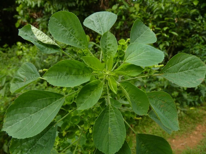 accin_20120125_081304